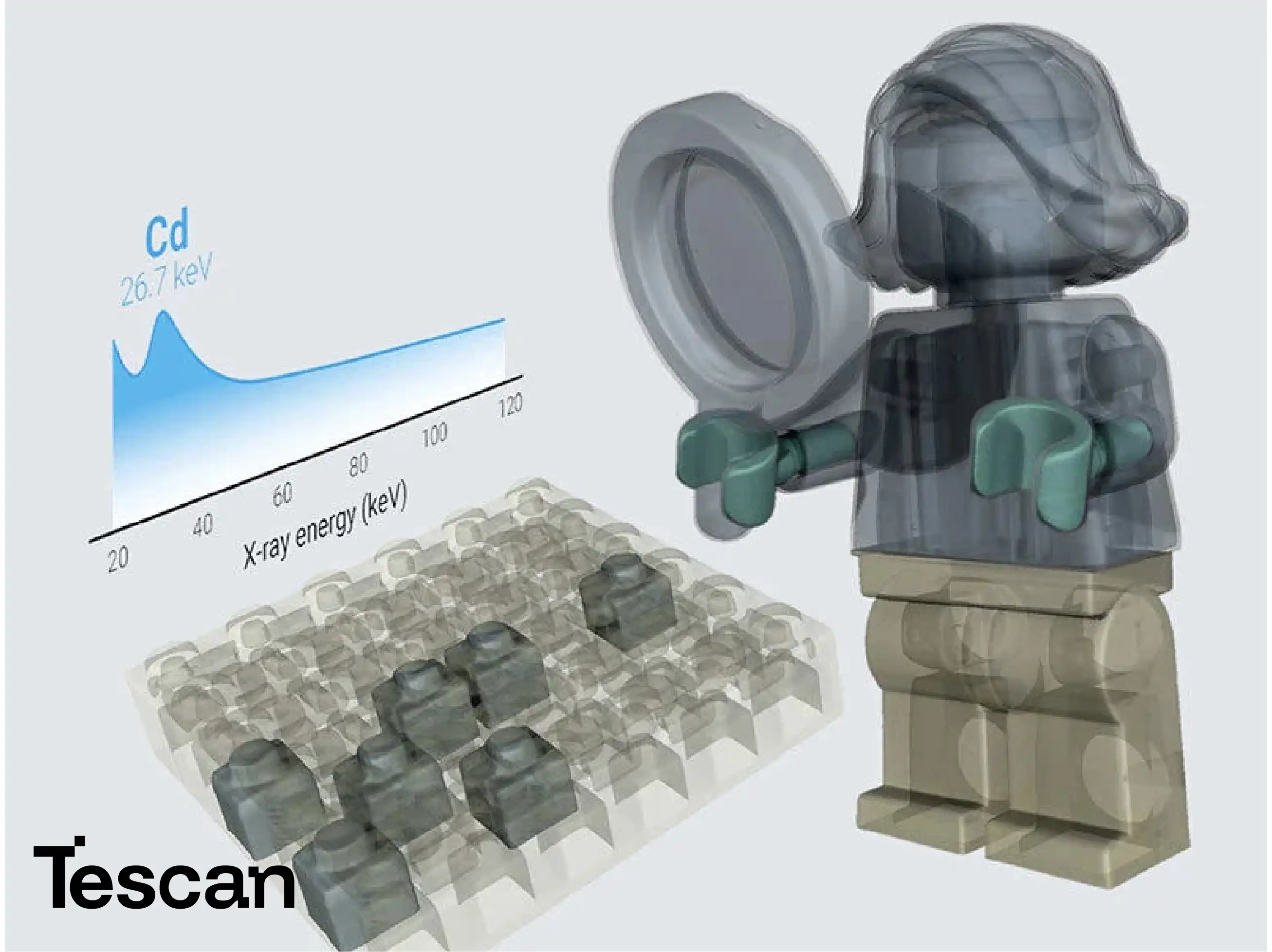 Tescan Specialized Applications